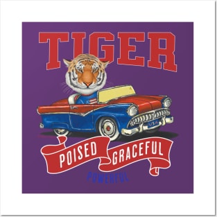 Humor Funny and Cute Tiger in a vintage car driving to a retro parade with red white and blue flags Posters and Art